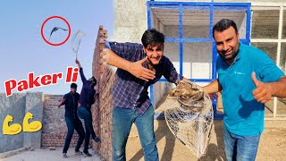 Finally Big Eagle Pakar Liya 😍|| easy eagle trap Using net 😍 || how to catch eagle