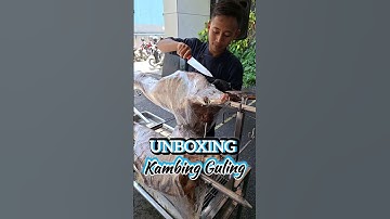 Unboxing Kambing Guling | Request by @JURAGAN99vsSHANDY