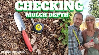 🌲 Checking Mulch Depth - QG Day 161 🌲