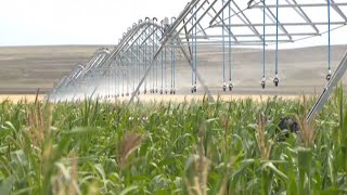 На 30% Выросли Субсидии Для Казахстанских Аграриев