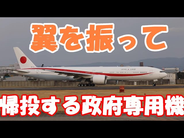 翼を振ってバイバイする政府専用機が千歳基地へ】2023.03.05 小牧基地