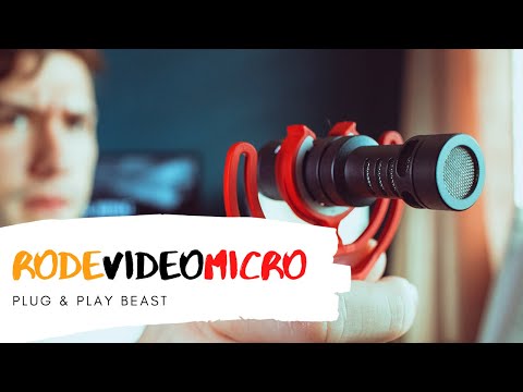 Micro interno de cámara vs Rode VideoMicro