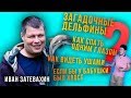 04 || Необыкновенные способности дельфинов - 15 главных фактов