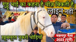 गुड्डू भाई का कहना है चीज़ बिकती है लाइन नहीं! ख़ूबसूरत नुकरी घोड़ियाँ 9839874402 Makanpur Mela 2023