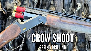 CROW SHOOTING ON SPRING DRILLING | PEST CONTROL | CROP PROTECTION