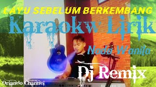 LAYU SEBELUM BERKEMBANG KARAOKE-TAETTY KADI-DJ REMIX SLOW