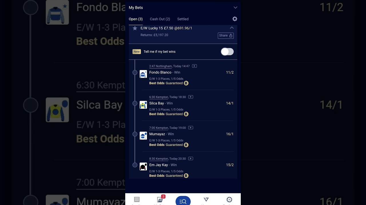 Ew Lucky 15 Horse Racing Tip For Today 29/10/25. 