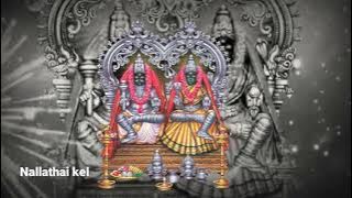 kulasai mutharamman whatsapp status