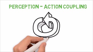 Perception Action Coupling