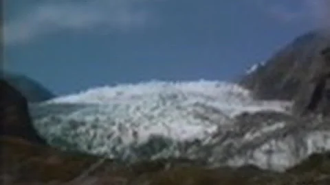 Perché gli abitanti della Nuova Zelanda si chiamano kiwi?