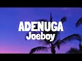 Joeboy & Qing Madi - Adenuga (Lyrics)