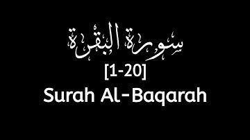 سورة البقرة 1 [1-20] - ياسر الدوسري
