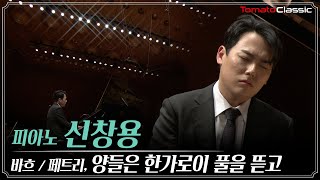 [4K] Pf. 신창용 :: 바흐/페트리 - 양들은 한가로이 풀을 뜯고 :: Bach / Petri - Sheep may safely graze, BWV 208