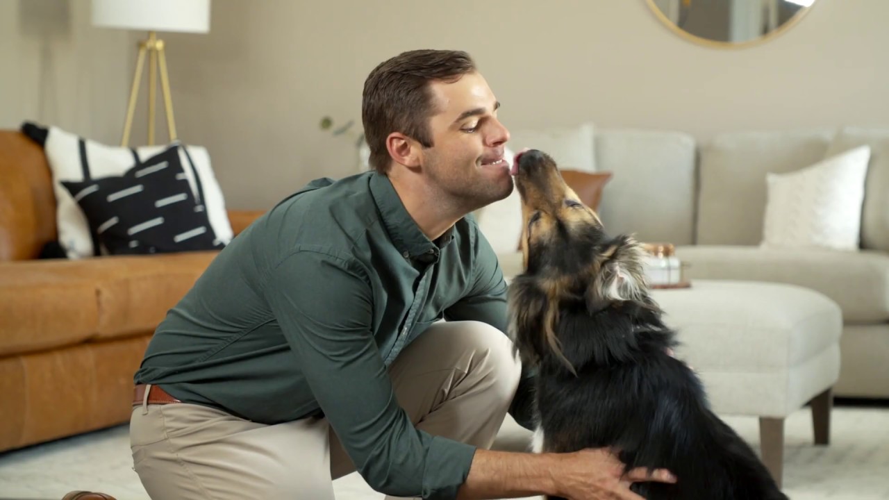 Petsafe Smart Feed Automatic Pet Feeder For Dogs Youtube