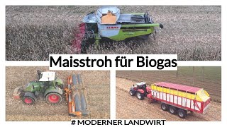 Maisstroh Für Biogas Claas Lexion 770 Fendt 724 Biochipper Steyr Cvt 6185 Pöttinger Jumbo