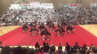 Antelope cheer rally performance 2015