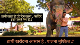 हाथी को घर मे पालना है तो क्या करे || Elephant Farm || Hello Kisaan