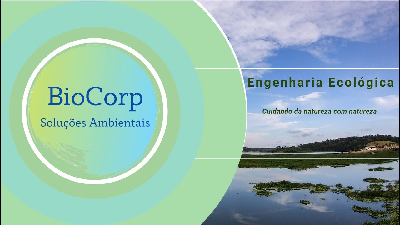 Soluções Verdes! Conheça a BioCorp! (Pitch) - YouTube