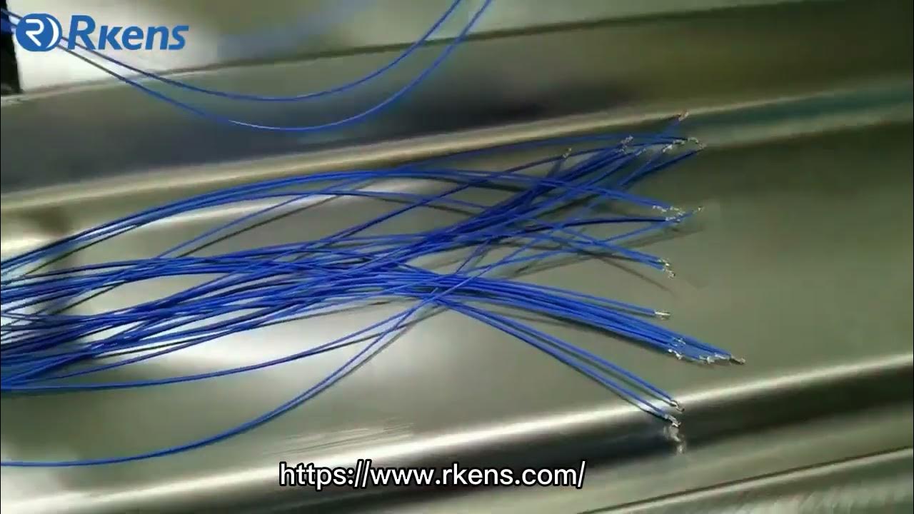 RS5505 5lane wire cut strip one end dip tin one end crimp machine