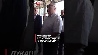 Лукашенко: Это у тебя кликуха или позывной? Почему вы не работаете? (Архив) #shorts image