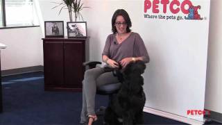 Shannon and Bowie - A Petco Adoption Story