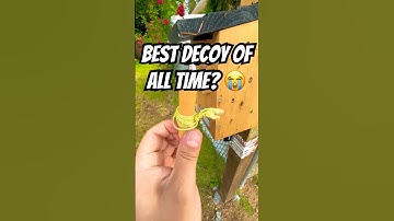 Is this the BEST decoy you’ve ever seen? Wait until the end to find out this Geocache’s secret 😭