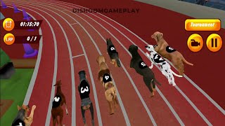 Dog Race - German Shepherd Vs Tiger Full Race - Dog Vs Dog #3 | Dishoomgpyt screenshot 5