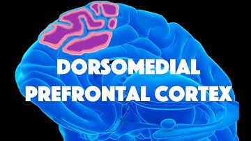 Dorsomedial Prefrontal Cortex and Deliberative Self-Referencing