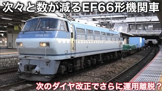 【運用離脱が進むEF66形機関車】すでに100番台も廃車が発生… 次の2024年3月のダイヤ改正による運用数の増減に注目したい。