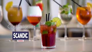 How to make Caipiroska Cocktail with SCANDIC VODKA