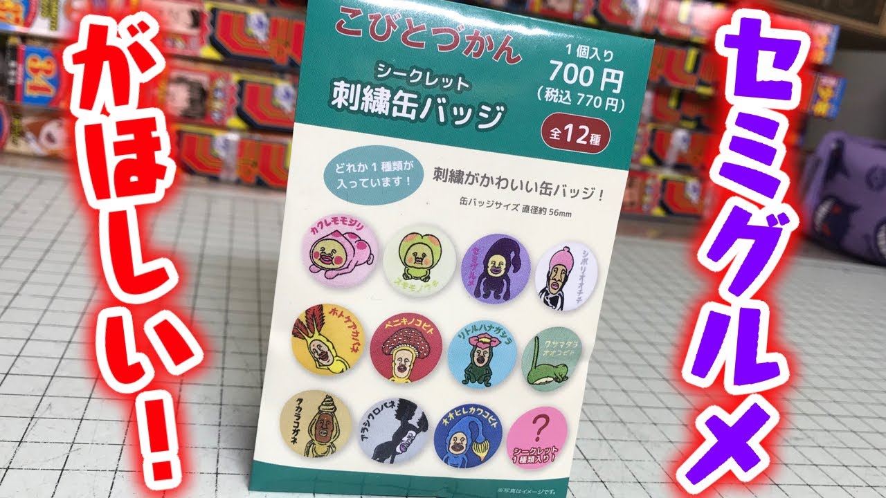 You tube 缶バッジ2個 出ろセミグルメ！こびとづかん シークレット刺繍缶バッジ 全12種