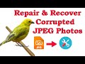 How to Repair corrupted images | fix corrupted images online | Repair & Recover Corrupted JPEG Photo