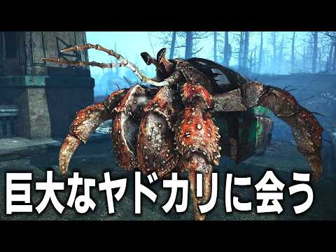Fallout4のDLCマップ「Far Harbor」をひたすら歩いて島を一周。【ゆっくり実況】
