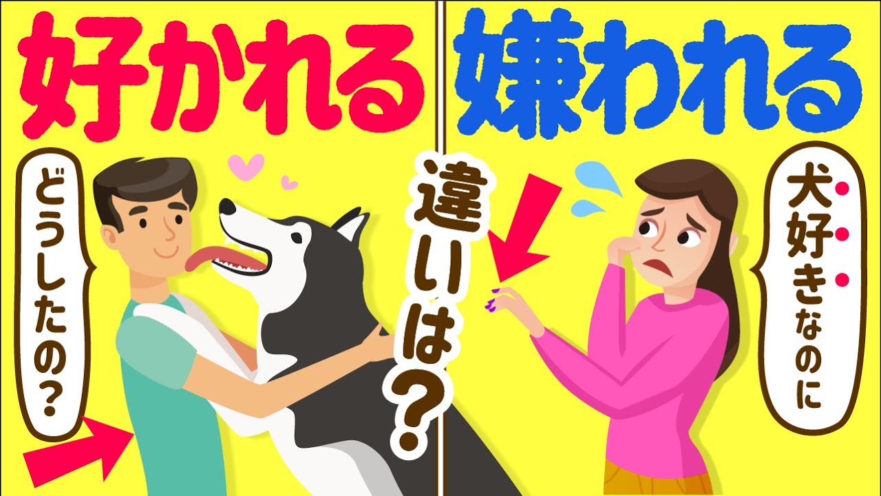 犬 に 好 かれる 方法