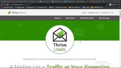 How to setup thrive leads on the website