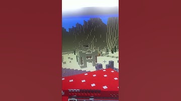 Sheep Quest Hacker Report