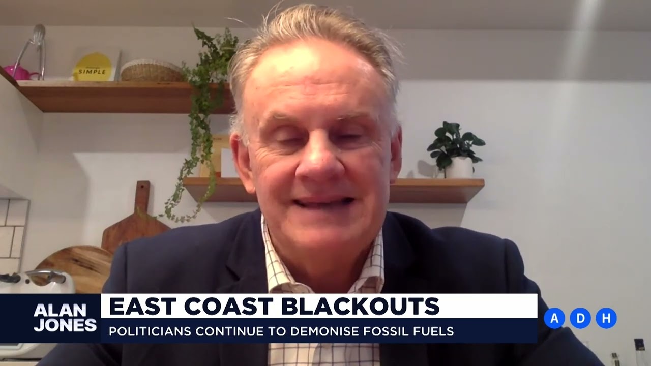 ⁣‘Where is the renewables miracle we’ve been hearing about?’: Mark Latham | Alan Jones