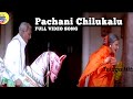 Pachani Chilukalu Telugu Full Video Song | Bharateeyudu | Kamal Hassan | Telugu Hits