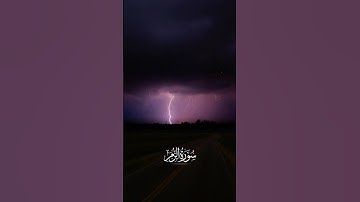 سورة الزمر بصوت #ماهر_المعيقلي 🤍😢#الجزائر #السعودية #العراق #القرآن_الكريم #المغرب #قرآن  #فلسطين #