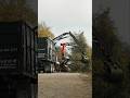Collaboration with our great friends at Texas Tree Transformation in Dallas Tx