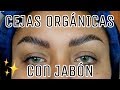 COMO HACER CEJAS ORGÁNICAS DE LA MANERA CORRECTA | PASO A PASO | Leoo Valera