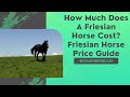 How Much Does A Friesian Horse Cost? — Friesian Horse Price Guide