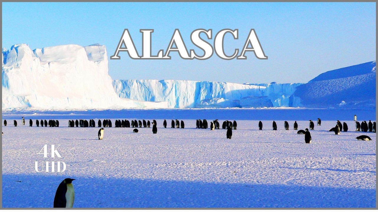 Alaska Documentary | Life in the Frozen North