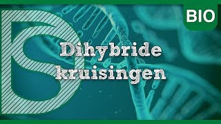 Examen biologie - Dihybride kruisingen (Erfelijkheid)