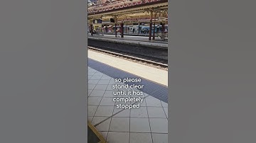 This was on a VERY hot Melbourne day recently. Thanks kayden_the_dragon on IG for another great one!