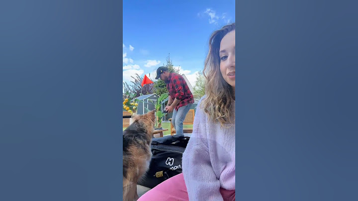 Nowe przygody Saltka - jazda bez trzymanki - zapraszamy na film na kanale 🐶🚲 #salto #saltonat