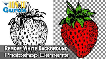How You Can Remove a White Background with Photoshop Elements - Remove White Background Clipart