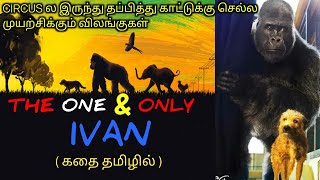 காட்டை தேடி சர்க்கஸ் விலங்குகளின் பயணம்|TVO|Tamil Voice Over|Dubbed Movies Explanation|Tamil Movies