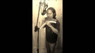 ALINE   INSTRUMENTAL FLAUTA PAN