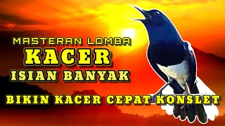 MASTERAN KACER TEMBAKAN KASAR